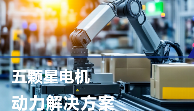 五颗星电机 动力解决方案